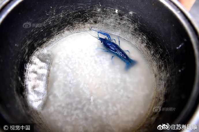 黄色美女网站