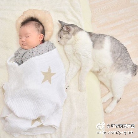 国产色情一级毛片事件
