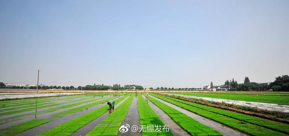 亚洲精品资源