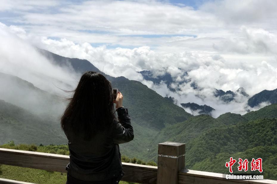 可以c女性角色的游戏手游推荐