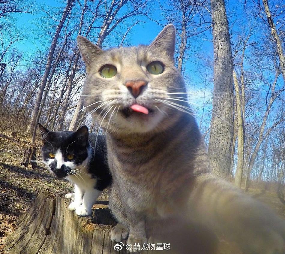 荷兰少妇性猛交视频