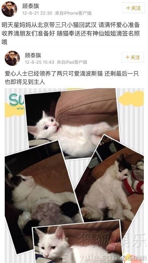 韩国美女直播黄片