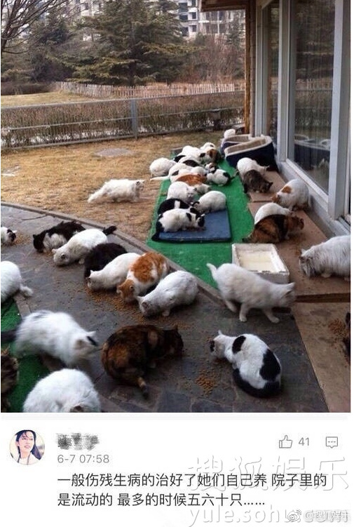 看黄色搜什么网站
