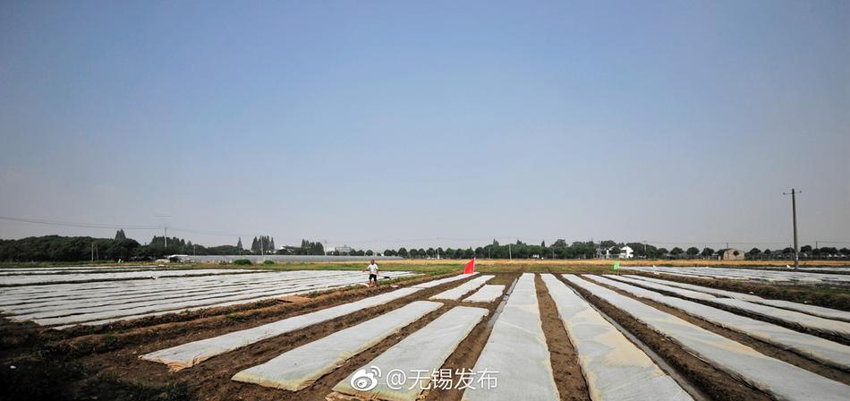 大地资源高清二在线观看