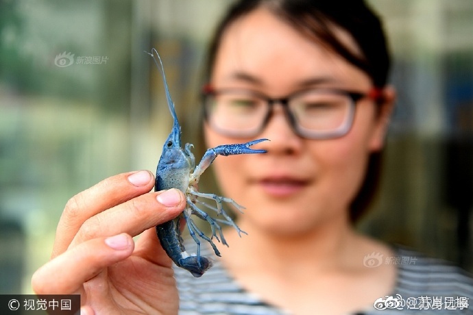 自拍国精品