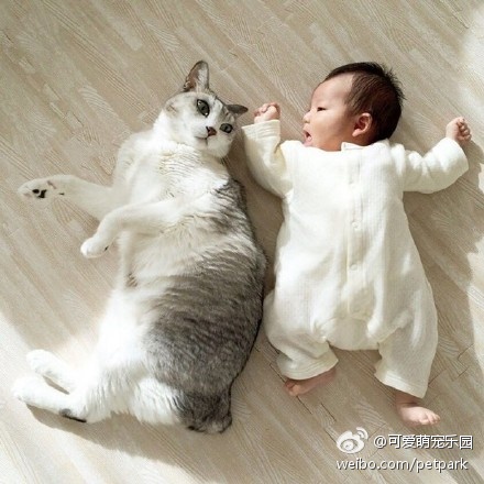 亚洲 色情