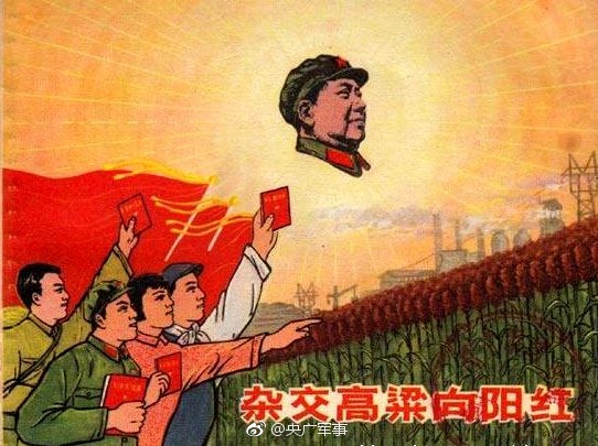 久久加勒比