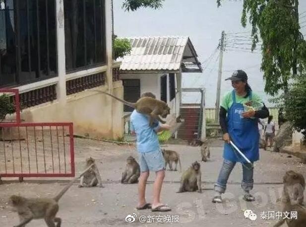 男女性生活一级黄片