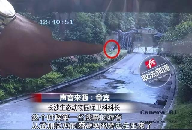榴莲视频成人