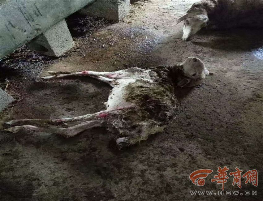 夸克看电影免费