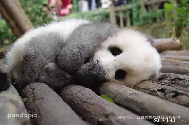 越南正妹