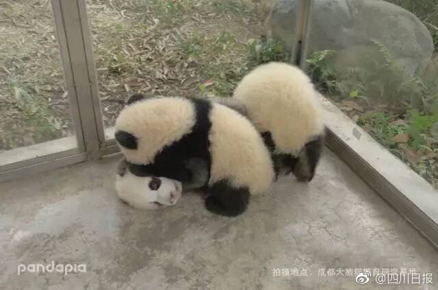 欧美日韩喷水高潮