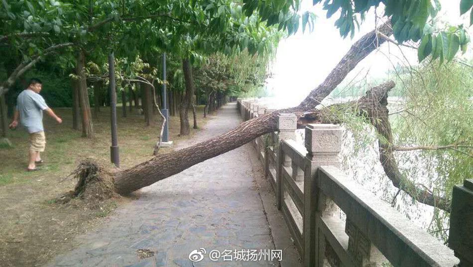 黑大大屌