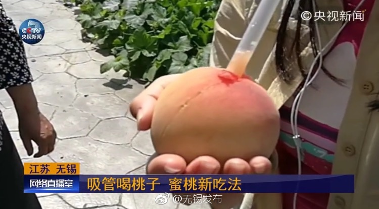 儿媳妇红小丹与父亲的关系如何