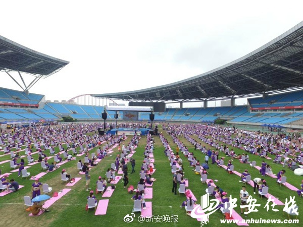 巜人妻公侵犯波多野结什么销售