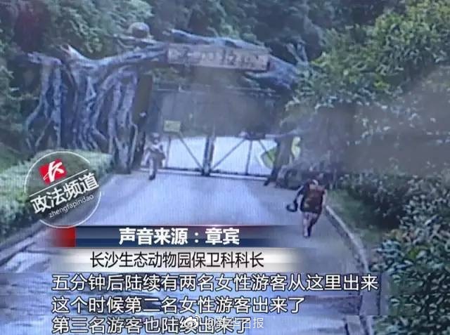 又爽 又黄 免费网站97