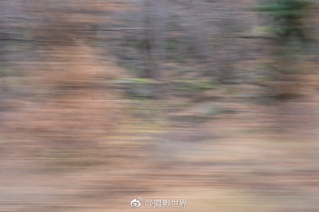 兄妹乱伦视频