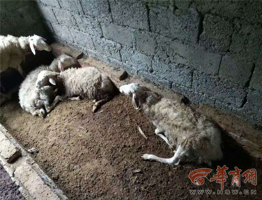 午夜私人影院
