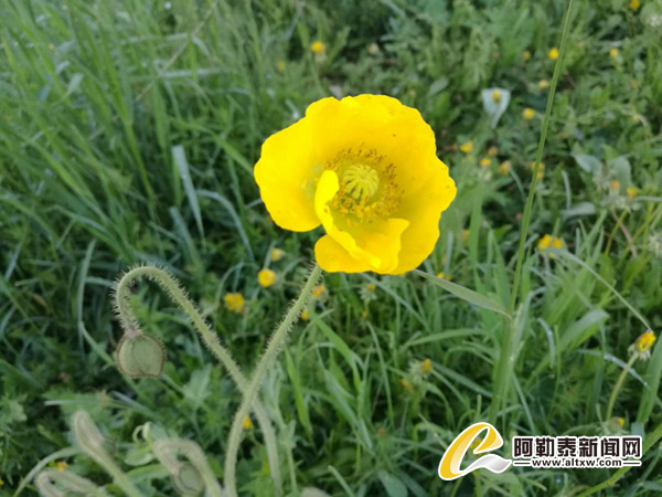 又白又嫩的乳[13p]