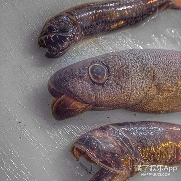 白丝校花被 狂揉大胸照片