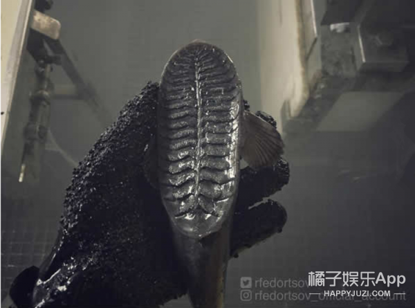 三上悠亚被躁57分钟未删减