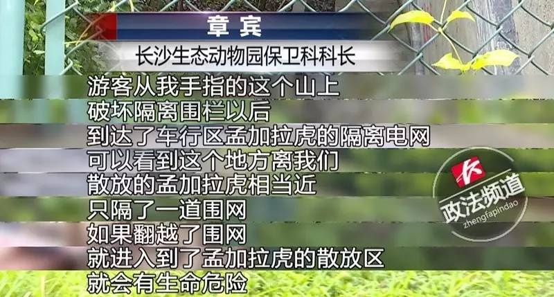 天天干天天插