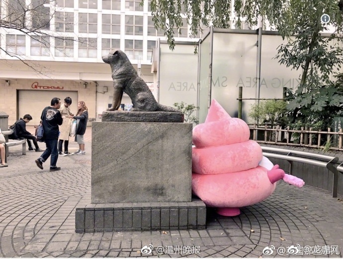 国产 免费 视频 传媒