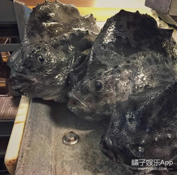 美国A片巜禁忌6