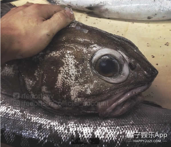空姐偷吃攝影師影片