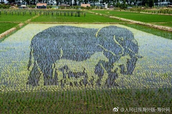 黄色 中文 网站