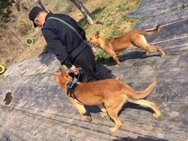 年老夫妻的性生活三级片电影