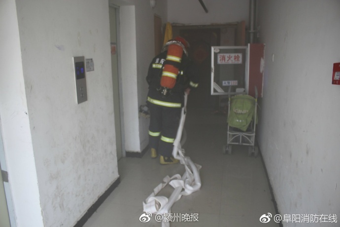 免费 在线 色情 电影
