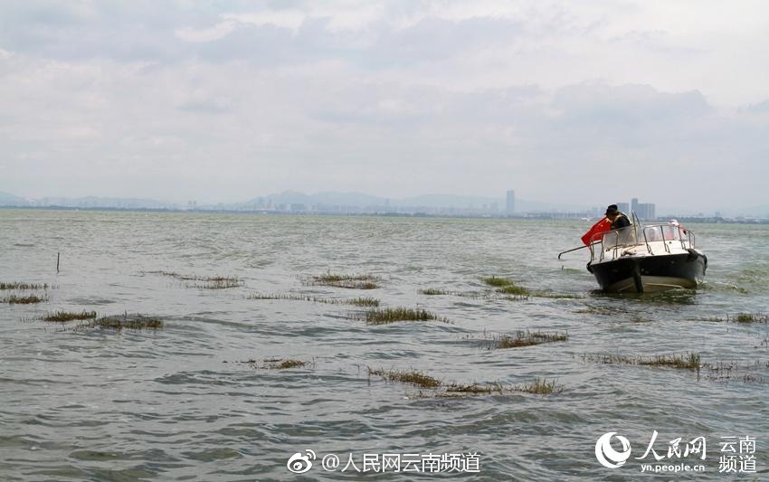 欧美三级跟韩国三级人妇