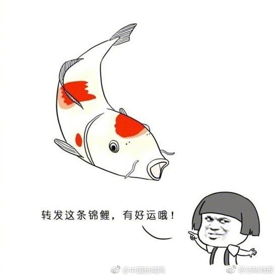 孕妇性孕交Xxxxhd
