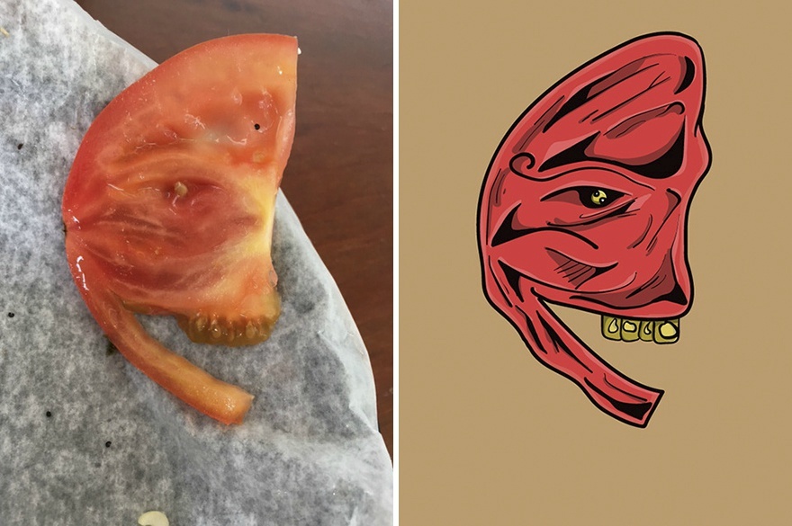 插插网站