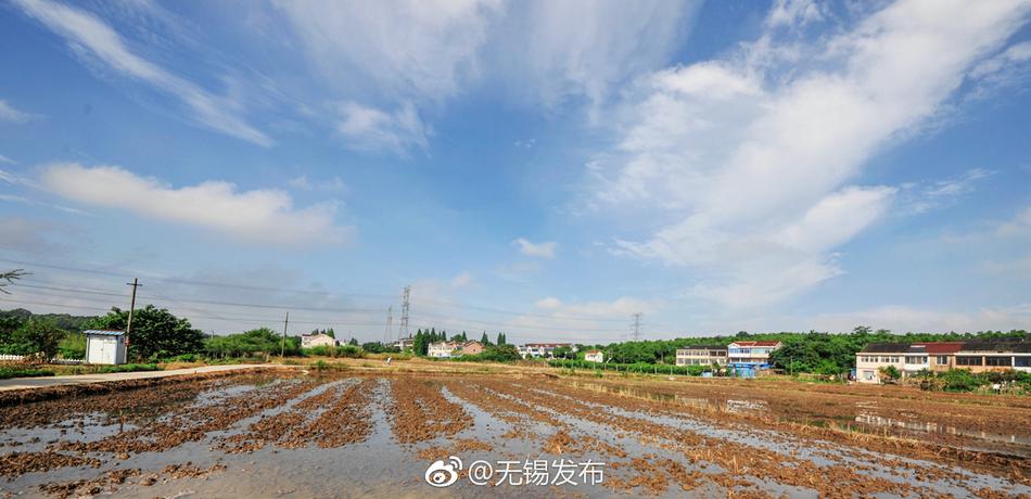 国产精品秘 麻豆果冻传媒阿朱