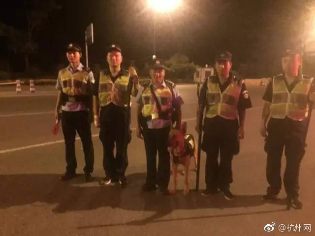 男女靠逼软件