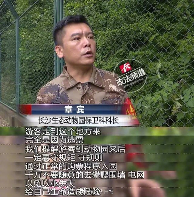 午夜欧美