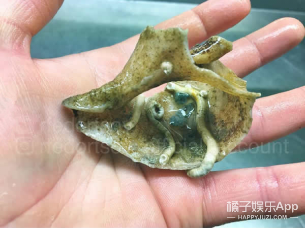 男女裸体激烈打扑克