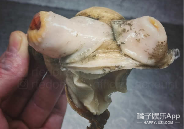 在线观看黄色视频完整版