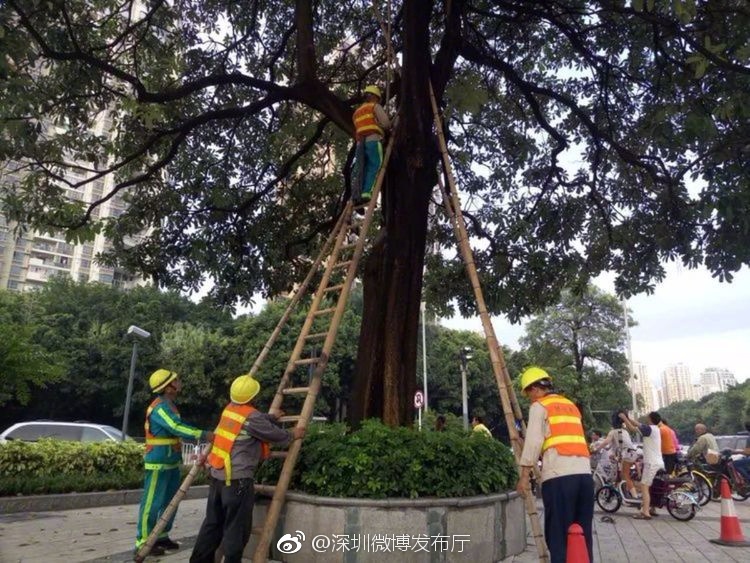 性爱 色情 视频