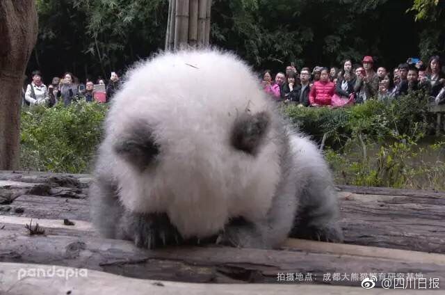 男女 做爱 片