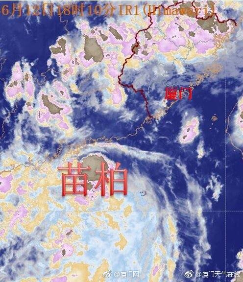欧美人与禽ZoZ0善交