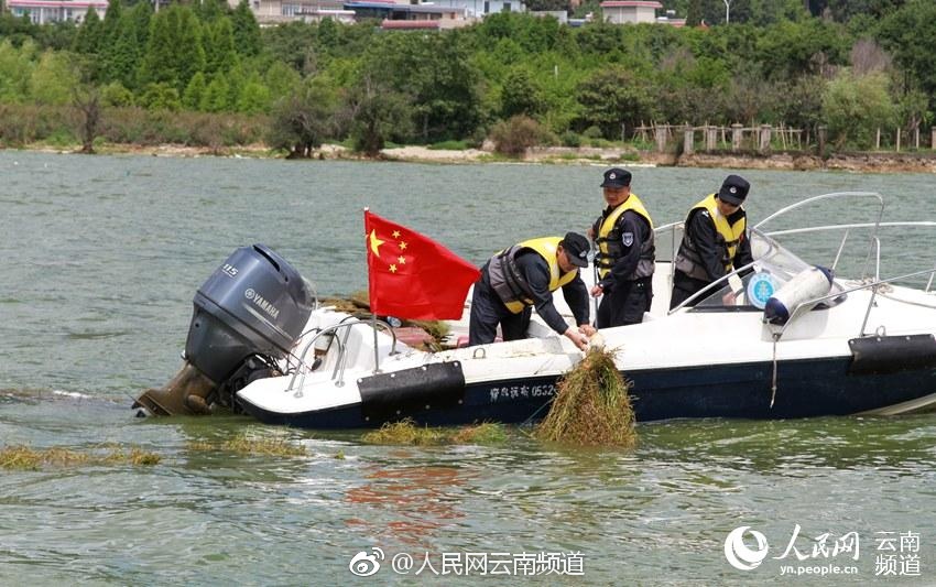 草莓视频黄色