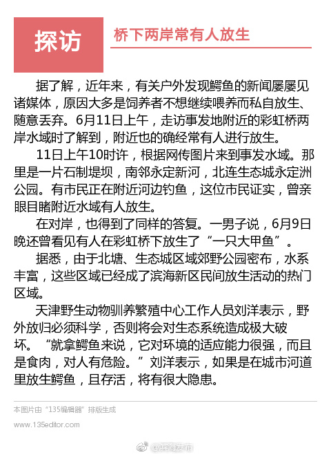 免费黄游