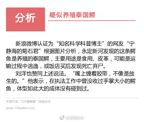 国产GaysexChina男外卖