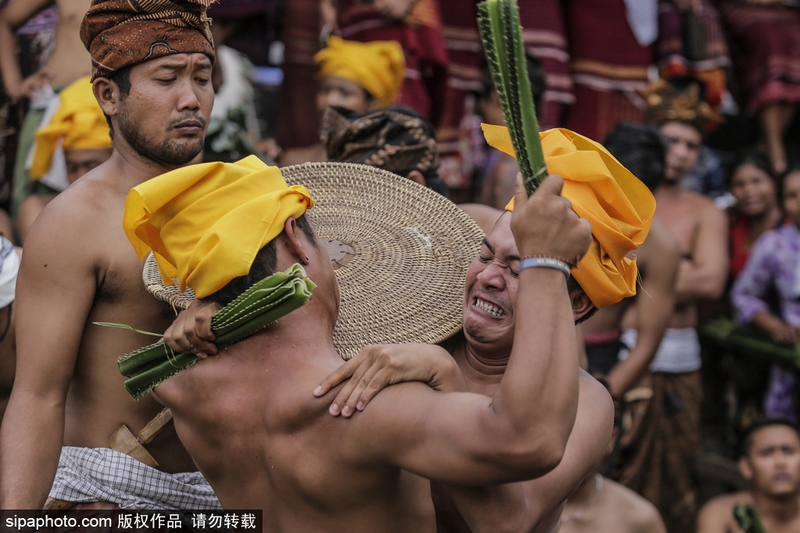 黄色网站黄色视