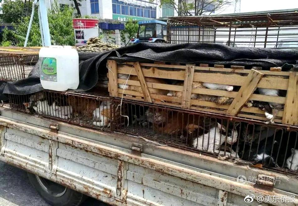 国产精品1