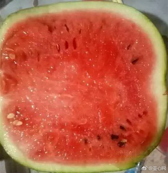 欧美、黄绝喷潮片