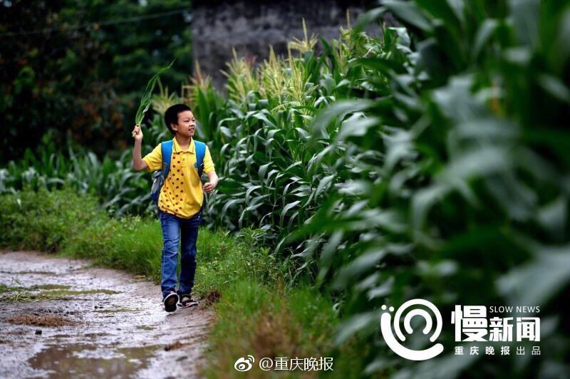 中国性爱电影无码视频